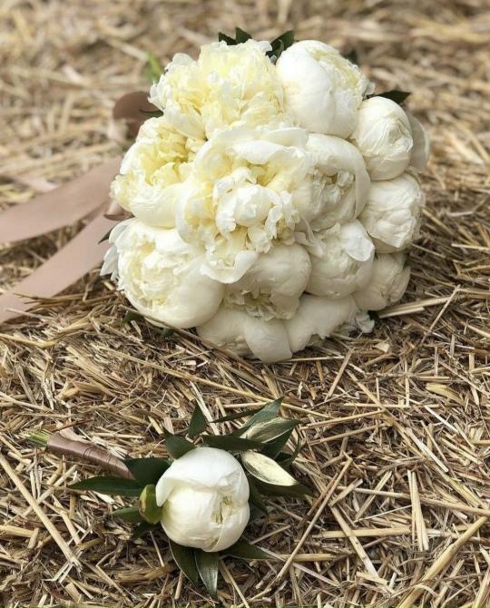 Фото Белоснежные пионы