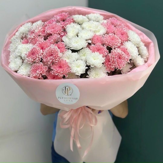 Фото 11 кустовых хризантем пушистик