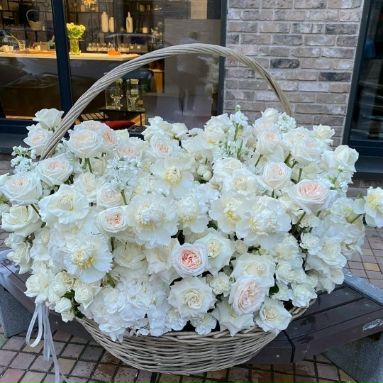 Фото Нежность