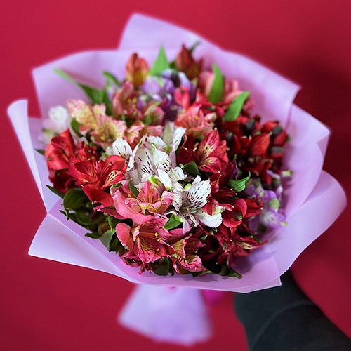 Фото 11 альстромерий в упаковке