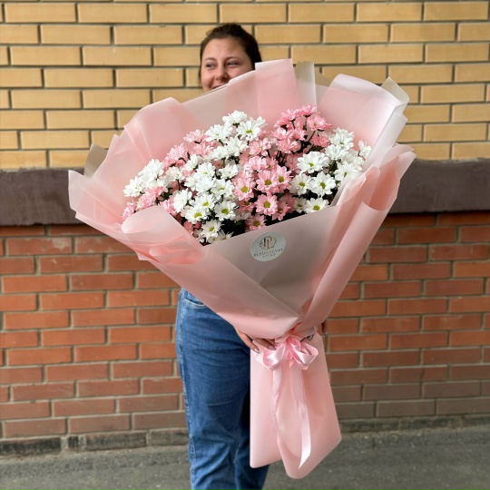 Фото 11 кустовых хризантем ромашек