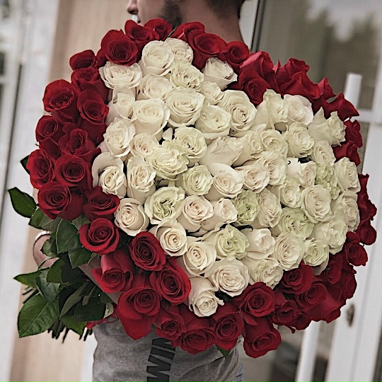 Фото 101 роза Сердце