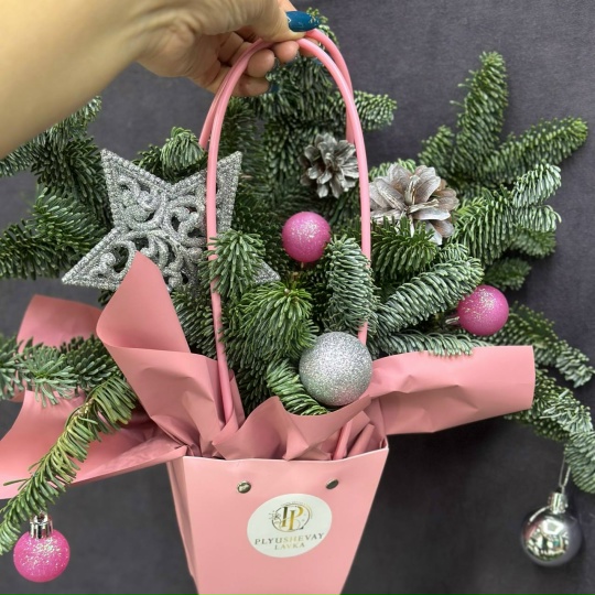 Фото Сумочка со звездой