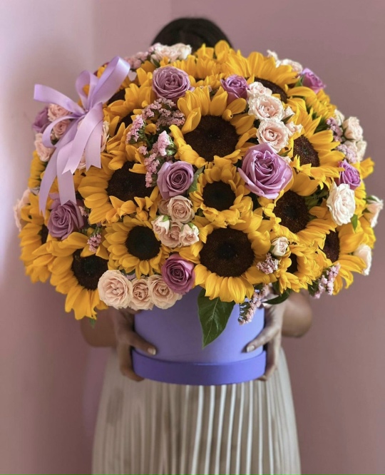 Фото Солнечный зайчик