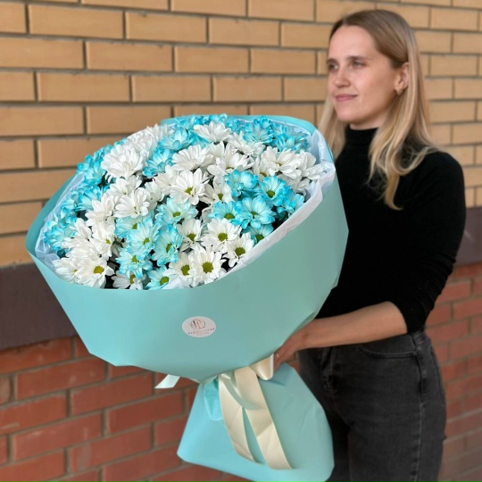 Фото 15 кустовых хризантем ромашек