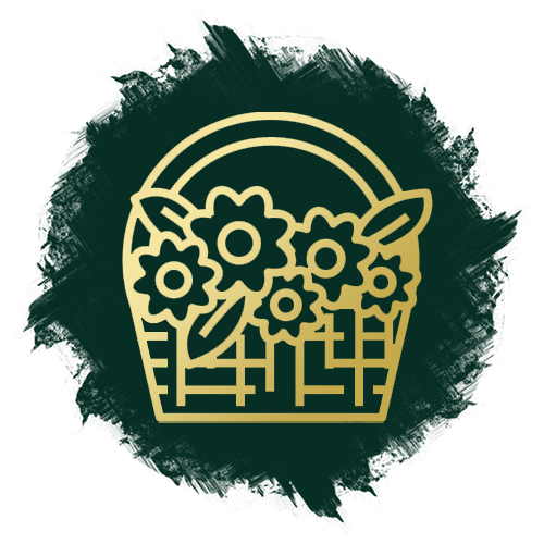 Изображение Хризантемы