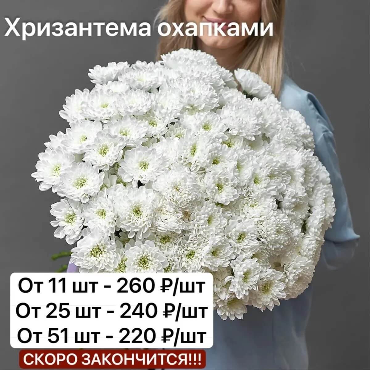 Фото Хризантема охапками