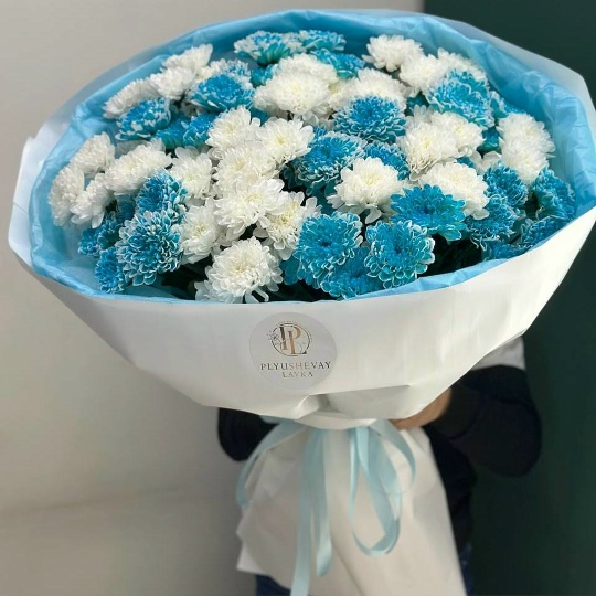 Фото 15 кустовых хризантем пушистик