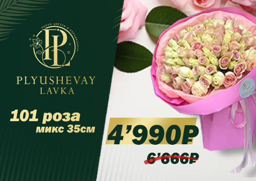 Изображение с информацией о Plyushevay Lavka