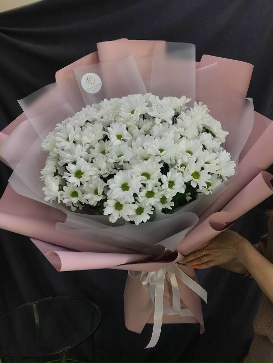 Фото 11 пышных ромашек