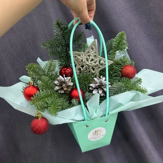 Фото Сумочка со звездой