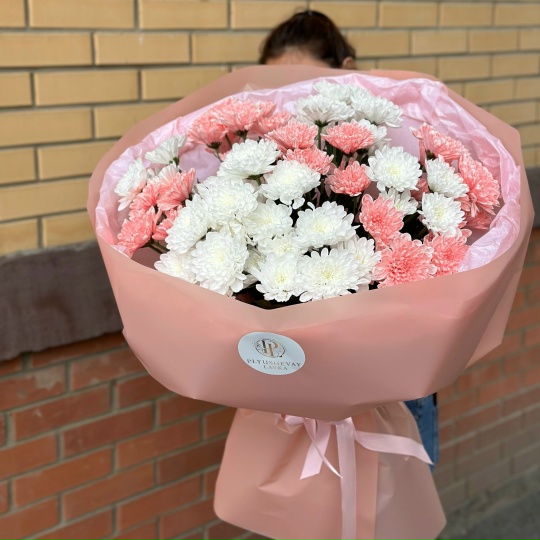 Фото 9 кустовых хризантем пушистик