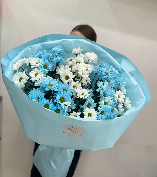 Фото Ромашковые хризантемы 9 шт