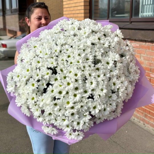 Фото #3.51 кустовая хризантема ромашки