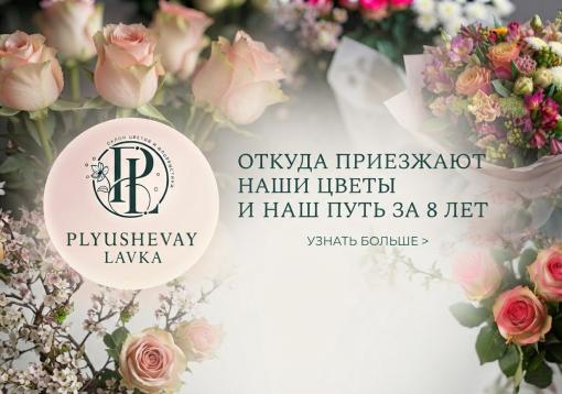 Изображение с информацией о Плюшевая Лавка