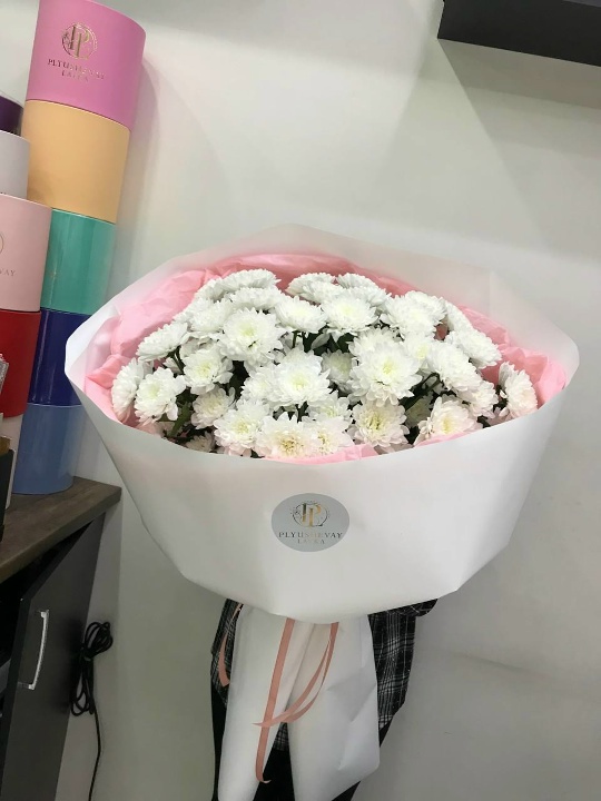 Фото Пушистые хризантемы 9 шт