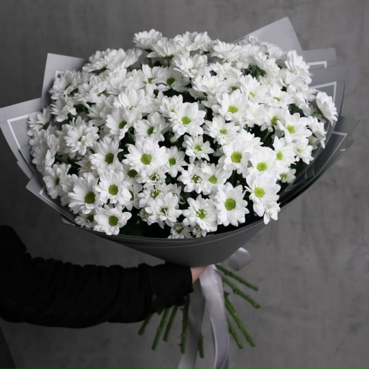 Фото Ромашковое поле