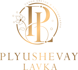 Изображение с описания доставки