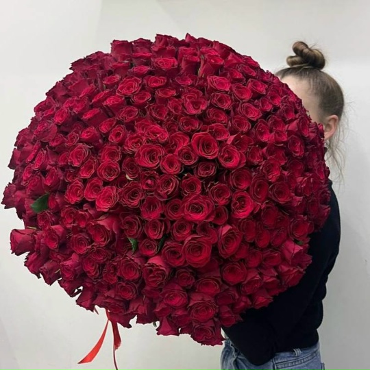 Фото 301 Роза под ленту