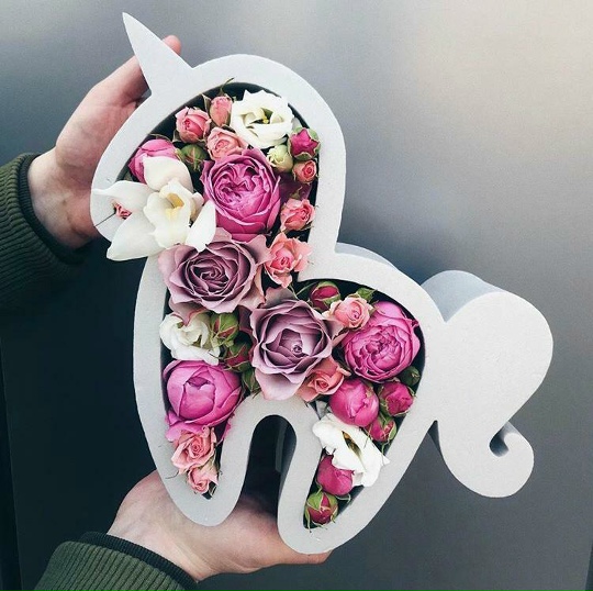 Фото Единорожка