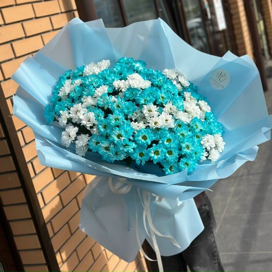 Фото 25 кустовых хризантем ромашек