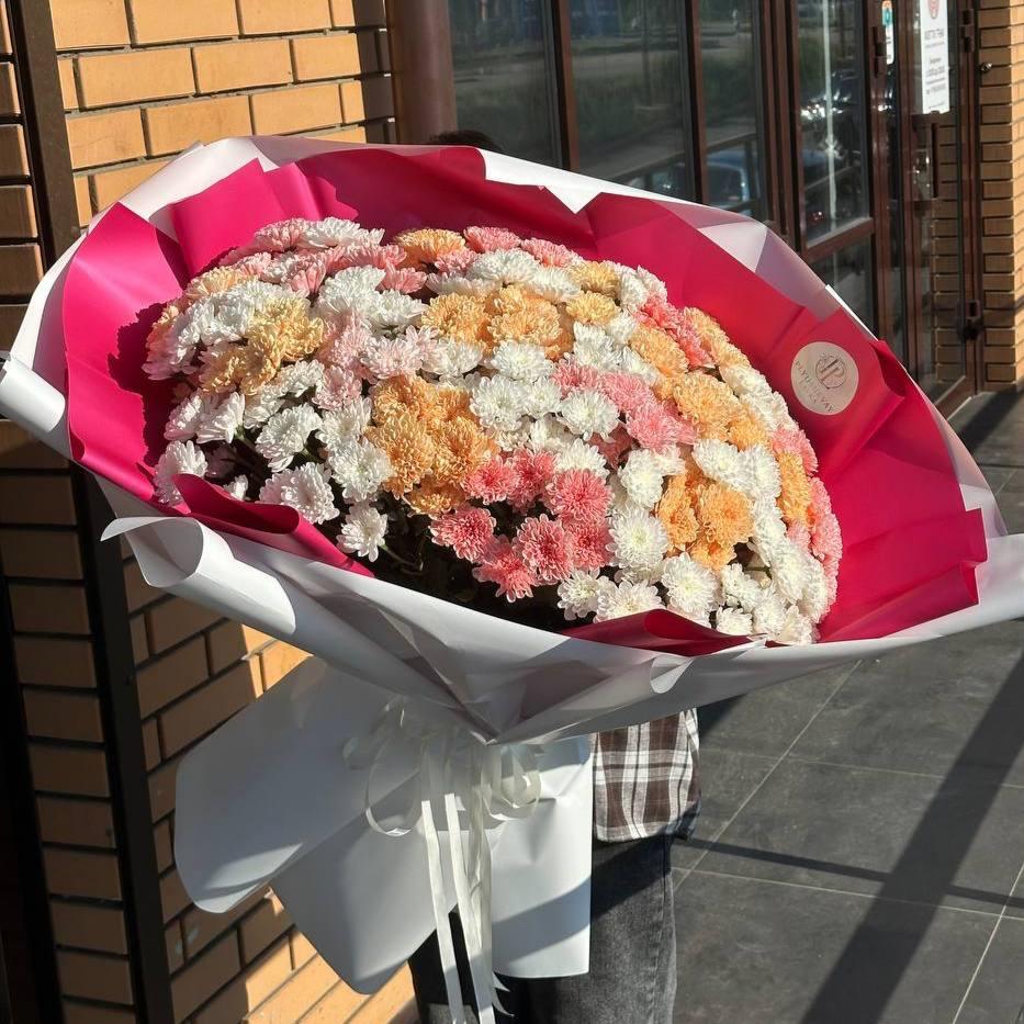 Фото 35 кустовых хризантем пушистик