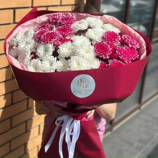 Фото 9 кустовых хризантем пушистик