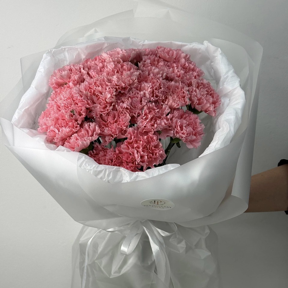 Фото 25 диантусов 