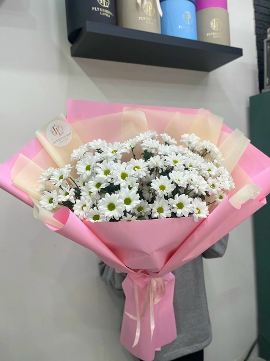 Фото Ромашковые хризантемы 9 шт