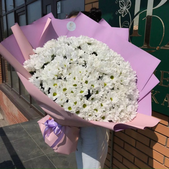 Фото #4. 35 кустовых хризантем ромашек