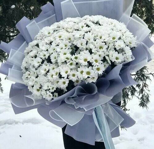 Фото XXL Гигант 51 ромашка