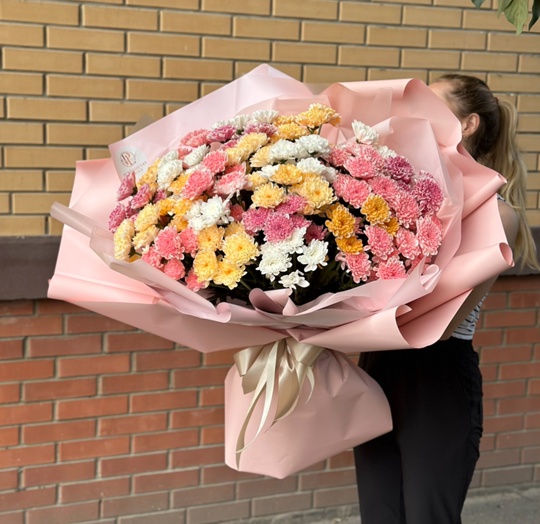 Фото 25 кустовых хризантем пушистик