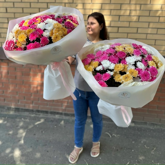 Фото 17 хризантем кустовых пушистик